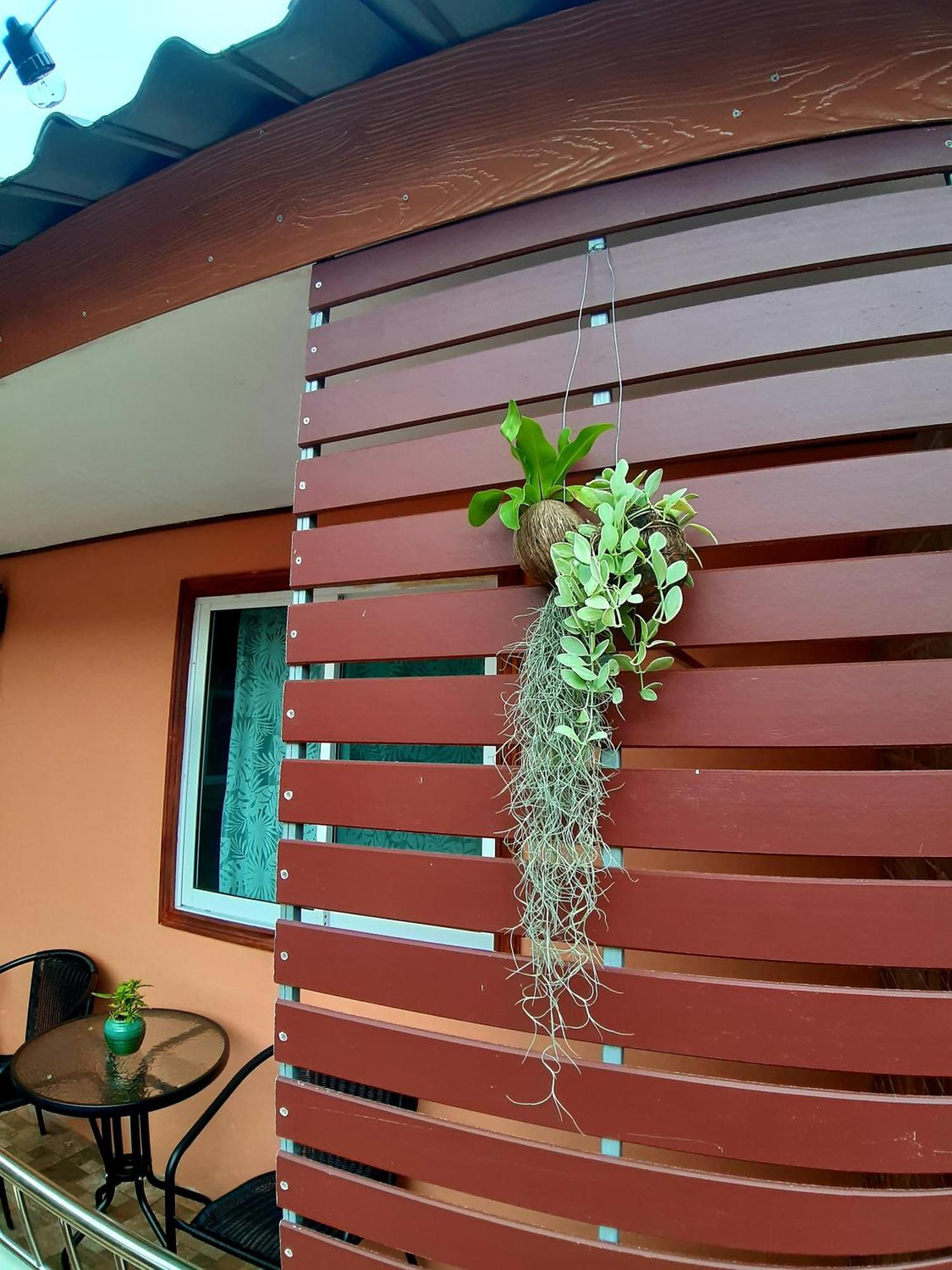 The Windsor Boutique Resort Chumphon Exterior foto